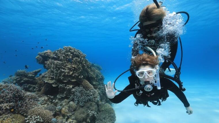 naha-tokashiki-day-trip-kerama-islands-scuba-diving-trip