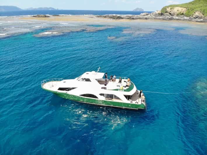 nahakerama-islands-2-fun-dive-whale-watching-limited-time