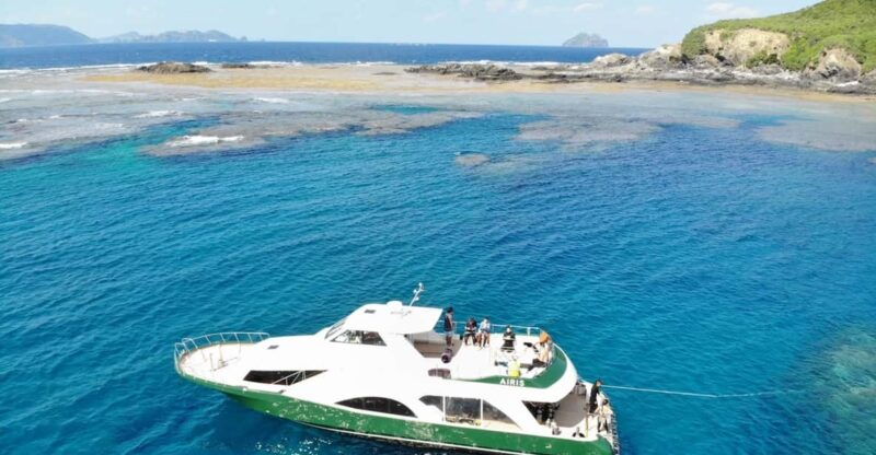 nahakerama-islands-2-fun-dive-whale-watching-limited-time