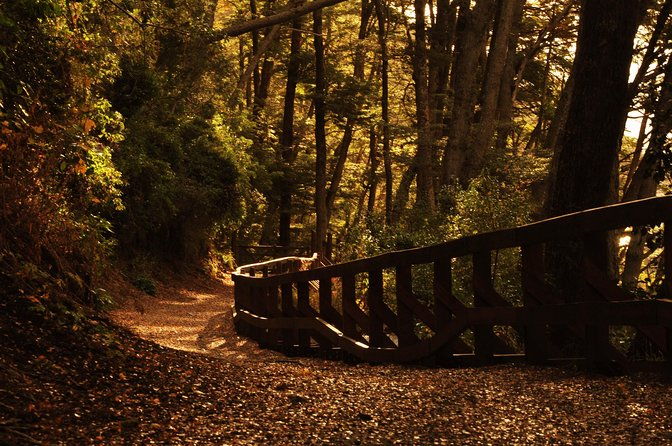 nahuel-huapi-lake-cruise-with-victoria-island-and-arrayan-forest-walk
