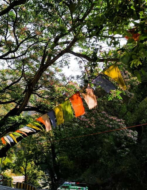 Nainital, Bhimtal, and Sattal Lake Tour 2N/3D getaway - The Sum Up: Who Will Love This Tour?