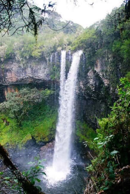 Nairobi: 3-Day Aberdare National Park Safari - Introduction: What’s This Tour All About?