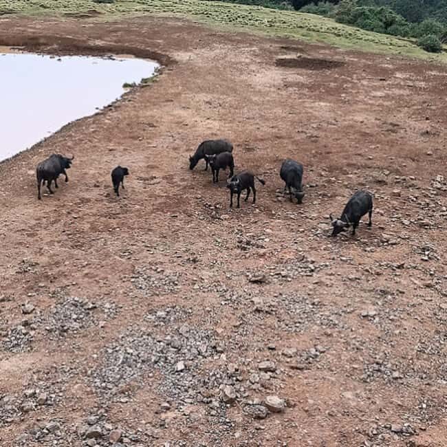 Nairobi: 3-Day Aberdare National Park Safari - Final Thoughts
