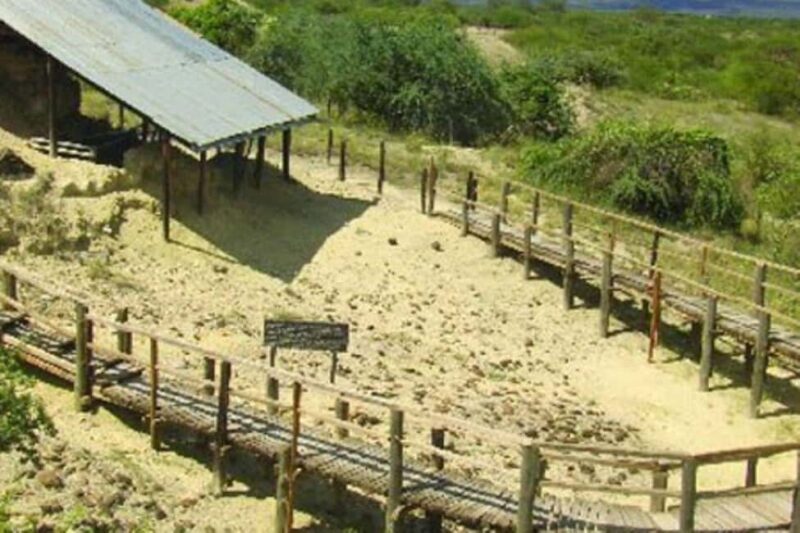 Nairobi: 3-Day Olorgesailie Prehistoric Site Camping Tour - A Closer Look at the 3-Day Adventure