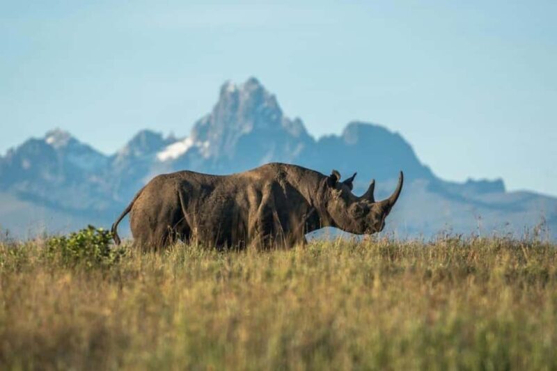 Nairobi: 3-Days Amazing safari Amboseli and Tsavo West - Key Points