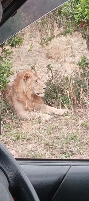 Nairobi: 3 Days Safari in Kenya - An Overview of the Experience