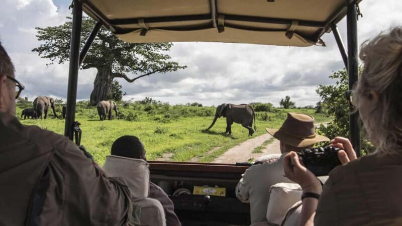 Nairobi: 4-Day Amboseli, Tsavo West and East Guided Safari - The Real Experience: Insights from Travelers