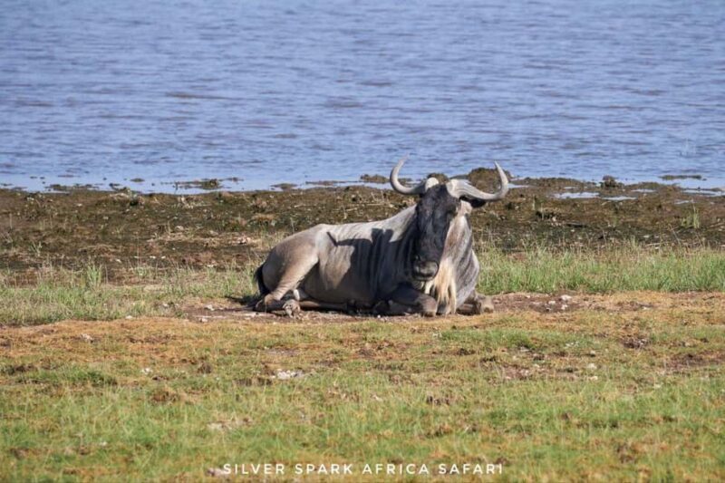 Nairobi: 4-Day Game Safari to Maasai Mara and Lake Naivasha - Transition to Lake Naivasha and Hells Gate