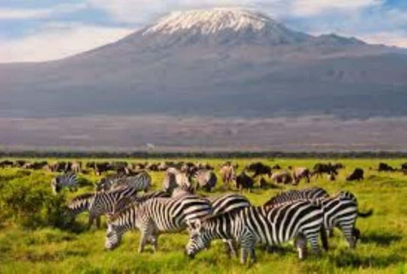 Nairobi: 4-Day luxury tour Amboseli, Tsavo West, and Tsavo - What Sets This Tour Apart?
