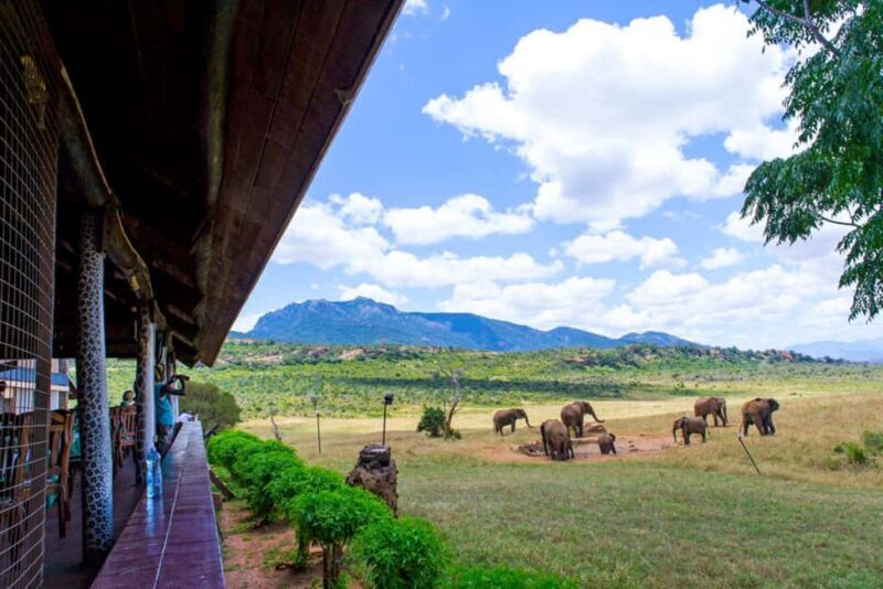 Nairobi: 4-Day luxury tour Amboseli, Tsavo West, and Tsavo - Practical Aspects to Consider