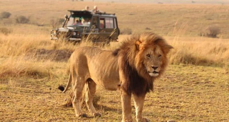 Nairobi: 4-Day Masai Mara and Lake Nakuru Camping Safari - Practical Considerations