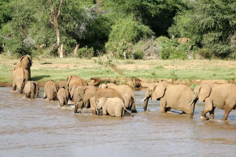 Nairobi: 5-Day Amboseli and Tsavo West National Park Safari - Who Is This Tour Best For?