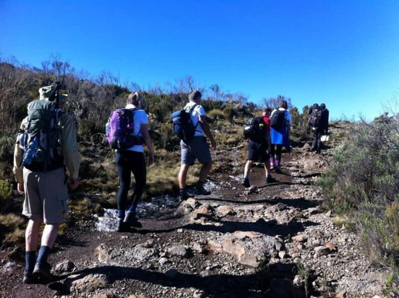 Nairobi: 5-Day Mount Kenya Climbing Tour - Key Points