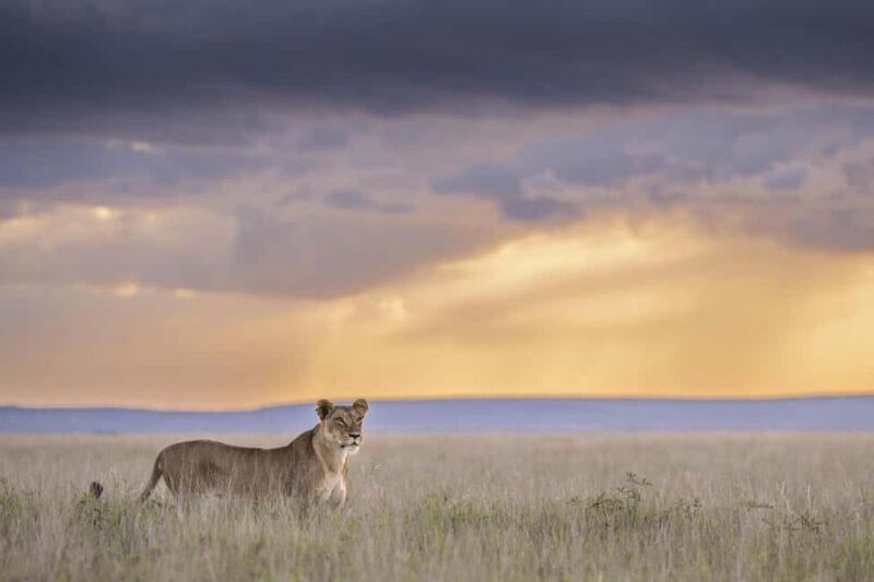 Nairobi: 9-Day Safari and Beach Holiday with Accommodation - Final Thoughts