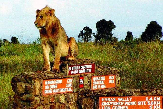 Nairobi Airport Layover Half Day Tour Nairobi National Park - Frequently Asked Questions