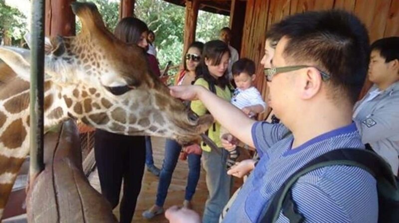Nairobi Airport Layover:Tour Giraffe Center and Beads Center - An In-Depth Look at Nairobi’s Giraffe Centre and Beads Center Tour