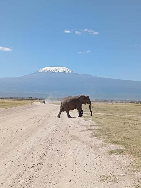 Nairobi: Amboseli National Park and Maasai Village Day Trip - FAQ