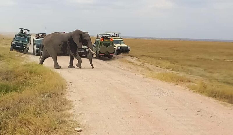 Nairobi: Amboseli National Park Day Trip with Game Drive - An In-Depth Look at the Amboseli Day Trip