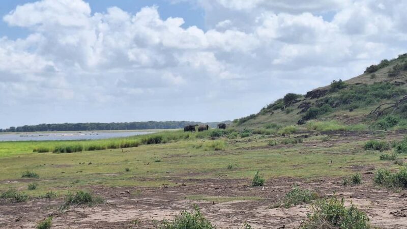 Nairobi: Amboseli National Park Day Trip with Game Drives - The Itinerary in Detail
