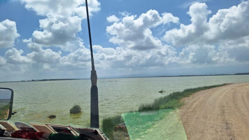Nairobi: Amboseli National Park Day Trip with Game Drives - Transportation & Group Size