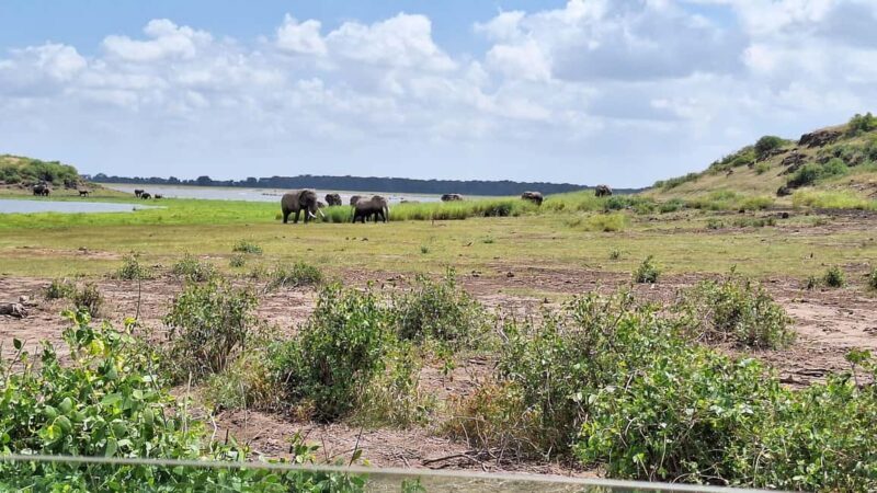 Nairobi: Amboseli National Park Day Trip with Game Drives - Practical Tips for the Trip