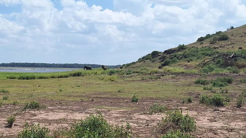 Nairobi: Amboseli National Park Day Trip with Game Drives - Authentic Insights from Reviews