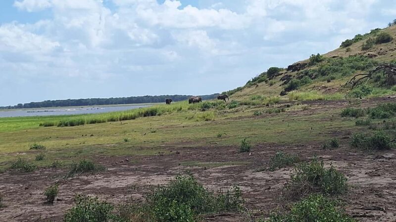 Nairobi: Amboseli National Park Day Trip with Game Drives - FAQ