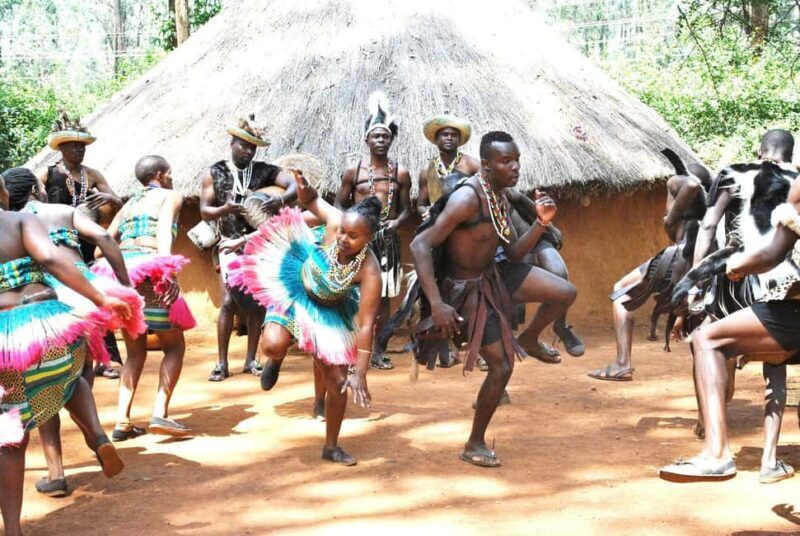 Nairobi Animal Orphanage, SafariWalk and Kenya Bomas Tour - A Day in Nairobi’s Wildlife and Culture: What You Can Expect