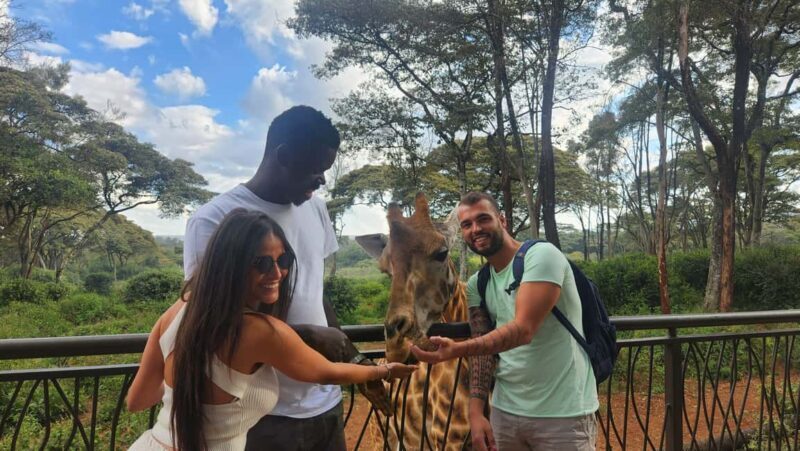 Nairobi City Tour; Culture, Historical & Modern Highlights - The Sum Up