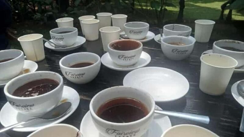Nairobi: Coffee Factory and Farm Tour - Key Points