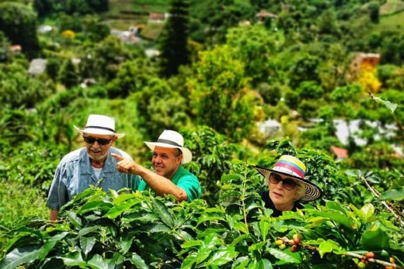 Nairobi: Coffee Factory and Farm Tour - What to Expect from this Coffee Tour