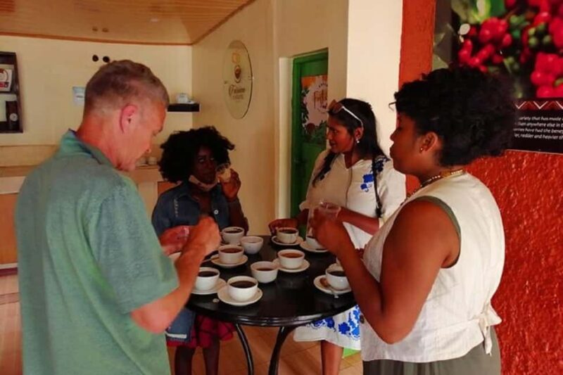 Nairobi: Coffee Factory and Farm Tour - The Factory Tour and Processing