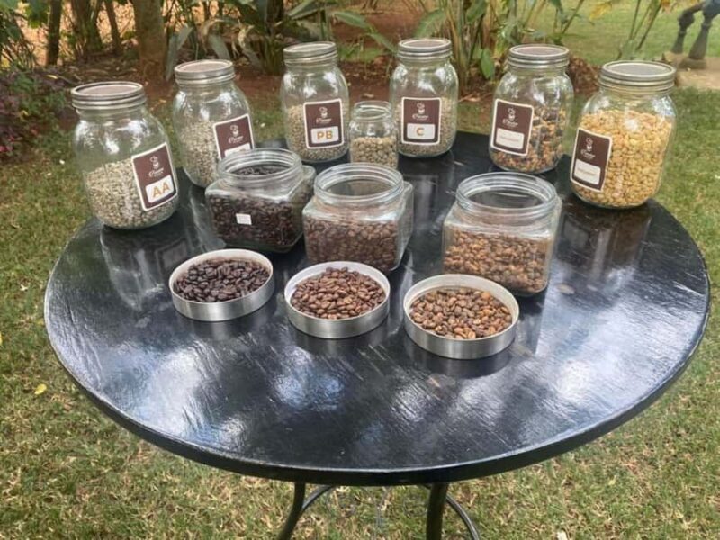 Nairobi: Coffee Factory and Farm Tour With Transfer - Experience Providers and Booking Flexibility