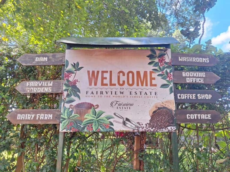 Nairobi Coffee Farm and Factory Tour - Why This Tour Is Ideal for You