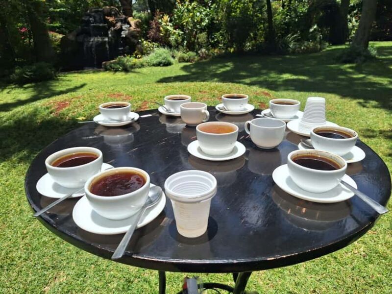 Nairobi Coffee Farm and Factory Tour - Final Thoughts