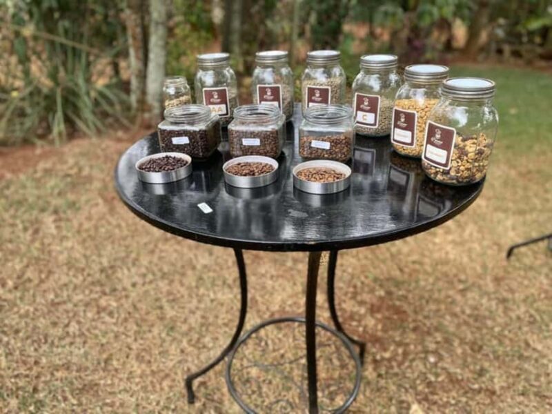 Nairobi Coffee Farm Half Day Tour (All Inclusive) - An Authentic Coffee Journey in Kenya