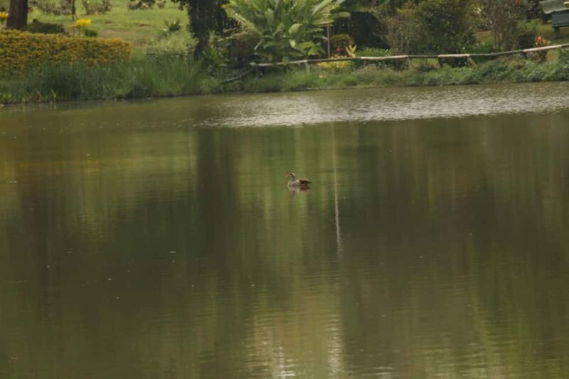 Nairobi Coffee Farm Tour - Key Points