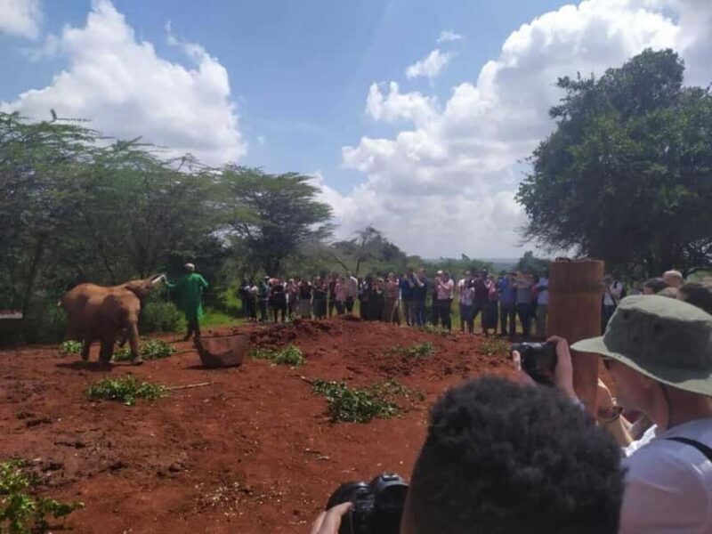 Nairobi: David Sheldrick Elephant Orphanage and Kazuri Bead - Who Should Consider This Tour?