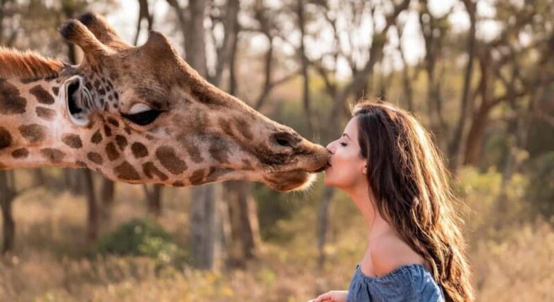 Nairobi: David Sheldrick, Giraffe Center & Kobe Beads - Exploring Nairobi Without Leaving the City