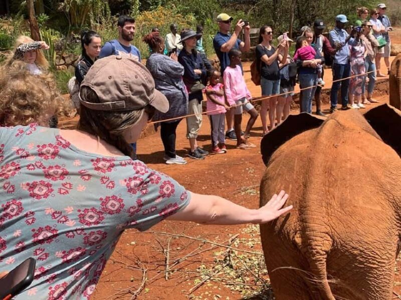 Nairobi: David Sheldrick, Giraffe Centre, and Blixen Tour - Final Summary