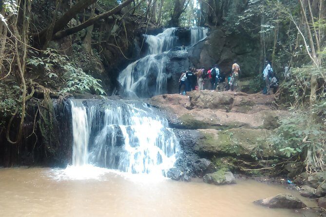 Nairobi Day Tour to Karura Forest Hike, Trail Bike & Nature Walk - What to Expect from the Tour