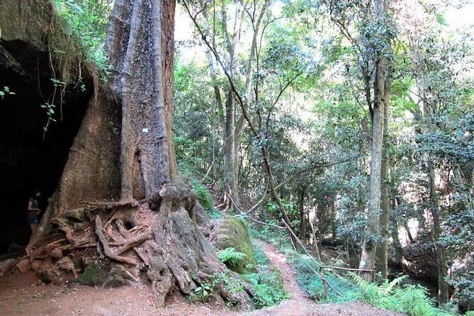 Nairobi Day Tour to Karura Forest Hike, Trail Bike & Nature Walk - The Sum Up