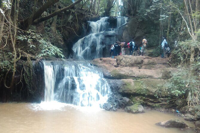 Nairobi Day Tour to Karura Forest Hike, Trail Bike & Nature Walk - FAQ