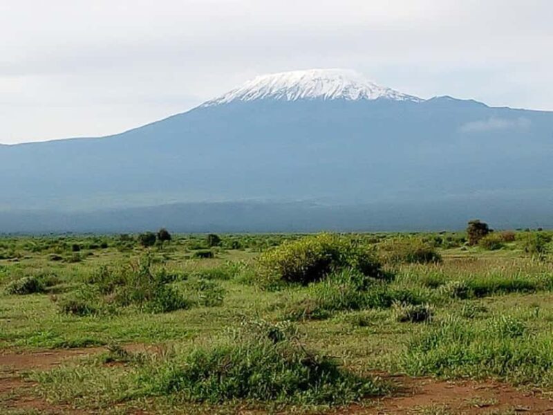 Nairobi: Day Trip to Amboseli National Park - A Closer Look at the Itinerary