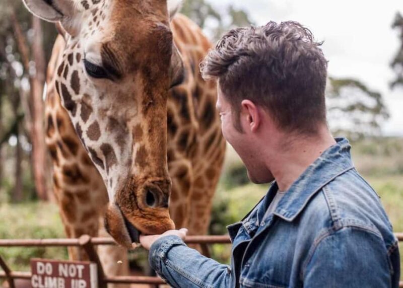 Nairobi: Elephant Orphanage and Giraffe Center Half-Day Tour - Final Thoughts