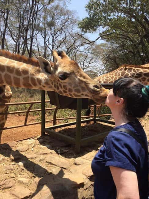 Nairobi: Elephant Orphanage, Beads Factory , giraffe center - Who Will Love This Experience?