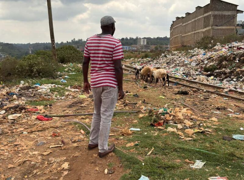 Nairobi: Explore Kibera Slum with Local Guides - Key Points
