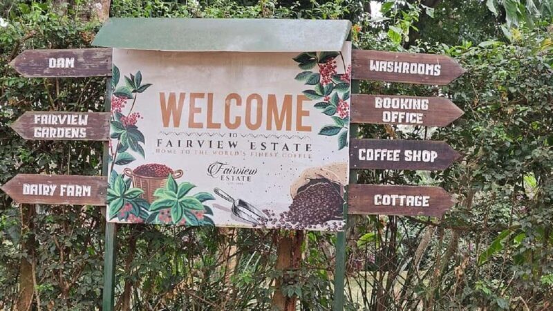 Nairobi: Fairview Coffee Estate Tour with Coffee Tasting - Key Points