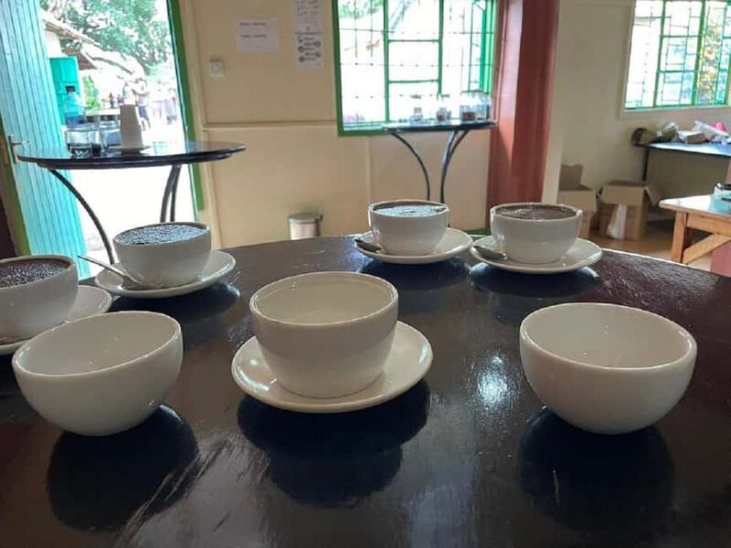 Nairobi: Fairview Coffee Estate Tour with Coffee Tasting - A Closer Look at the Fairview Coffee Estate Tour
