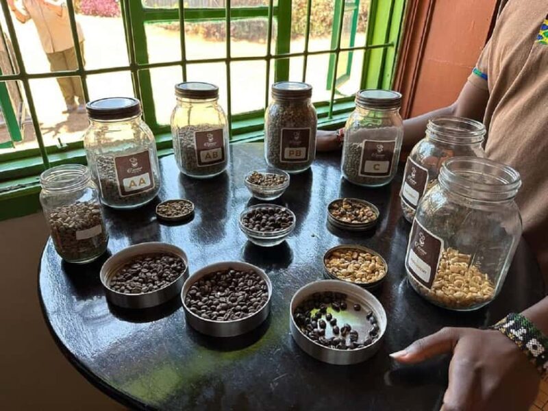 Nairobi: Fairview Coffee Estate Tour with Coffee Tasting - Practical Advice for Visitors